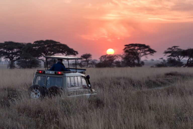 tanzania safari car
